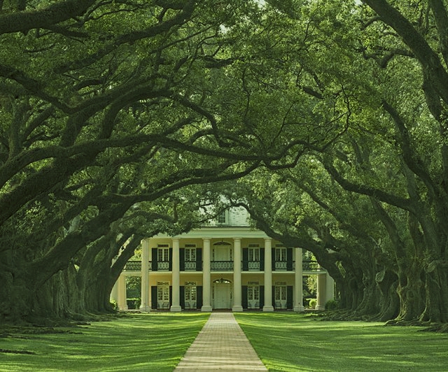 Oak Alley